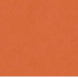 Настенная плитка Bardelli Colore&Colore D2 20x20