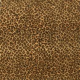 Напольная плитка Aparici Collage Leopard Pulido 44.6x44.63